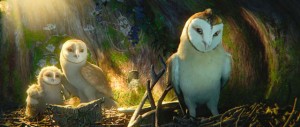 Legend of the Guardians: The Owls of Ga'Hoole movie scene