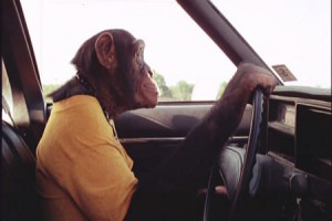 Carnival Magic movie scene