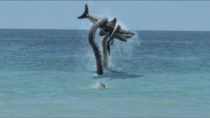 Sharkotpus movie scene