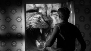 The Incredible Shrinking Man movie scene