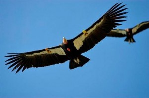 Scavenger Hunt movie scene