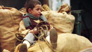 the-tree-of-wooden-clogs-1_opt